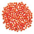 Glorex - Colori per cera, formato pastiglia, Conf. 5 g, Rosso