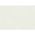 Gerstaecker - Cartoncino per passepartout con anima nera, 60 x 81 cm, Arctic White, 1,3 mm, 60 x 81 cm