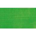Gerstaecker - Pigmenti Creativ, Giallo verde