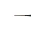 Winsor & Newton - Serie 7, pennello in pelo di martora Kolinsky, 2/0, 1,20