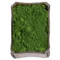 Gerstaecker - Pigmenti extra fini, 250 g, Verde ossido di cromo, puro