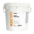 Golden - Gesso bianco, 3,78 L