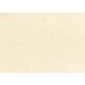 Carta per documenti pelle di elefante, 50 cm x 70 cm, qtà. minima 3 fogli, Bianco d'avorio