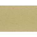 Carta per documenti pelle di elefante, 50 cm x 70 cm, qtà. minima 3 fogli, Beige