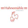 Hahnemühle - Cartone a mano per calcografia, 53 x 78 cm cornice a 3 lati carta a mano, 300 g/m², opaca, fogli singoli