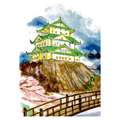 morepic-6