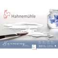 Hahnemühle - Carta per acquerello Harmony, ruvida, A4, 21 x 29,7 cm, 300 g/m², blocco collato su 4 lati