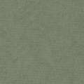 Zerkall Merian vergata, 48 cm x 64 cm, Grigio