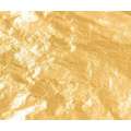 Foglia di doppio oro ducato, Libretto con 25 foglie sfuse