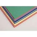 Clairefontaine - Tulipe, assortimento da 24 fogli colorati - colori vivaci, 50 x 65 cm (15P), 160 g/m², liscia|grossa (torchon), fogli in confezione