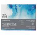 Winsor & Newton - Professional, Cartoncino per acquerello 100% cotone, 30,5 x 40,6 cm, fine (cold pressed), 300 g/m², Blocco con 20 fogli