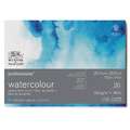 Winsor & Newton - Professional, Cartoncino per acquerello 100% cotone, 25,4 x 35,6 cm, fine (cold pressed), 300 g/m², Blocco con 20 fogli