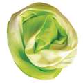 Viva Decor - Colore per tessuto, 90 ml, Verde maggio
