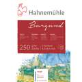 Hahnemühle Burgund 250g blocco, 17 x 24 cm, blocco collato su 4 lati, 250 g/m², ruvida