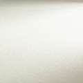 Hahnemühle 230 g/mq carta per olio e acrilico, 75 x 100 cm, 10 fogli, 230 g/m², fine (cold pressed)