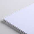 Canson Bristol blocco da disegno, A3, 20 fogli, blocco collato su 1 lato, fine (cold pressed)