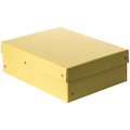Falken - Purebox, Scatole per archivio, A4, 21 x 29,7 cm, Giallo pastello, Altezza 10 cm