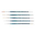 morepic-2