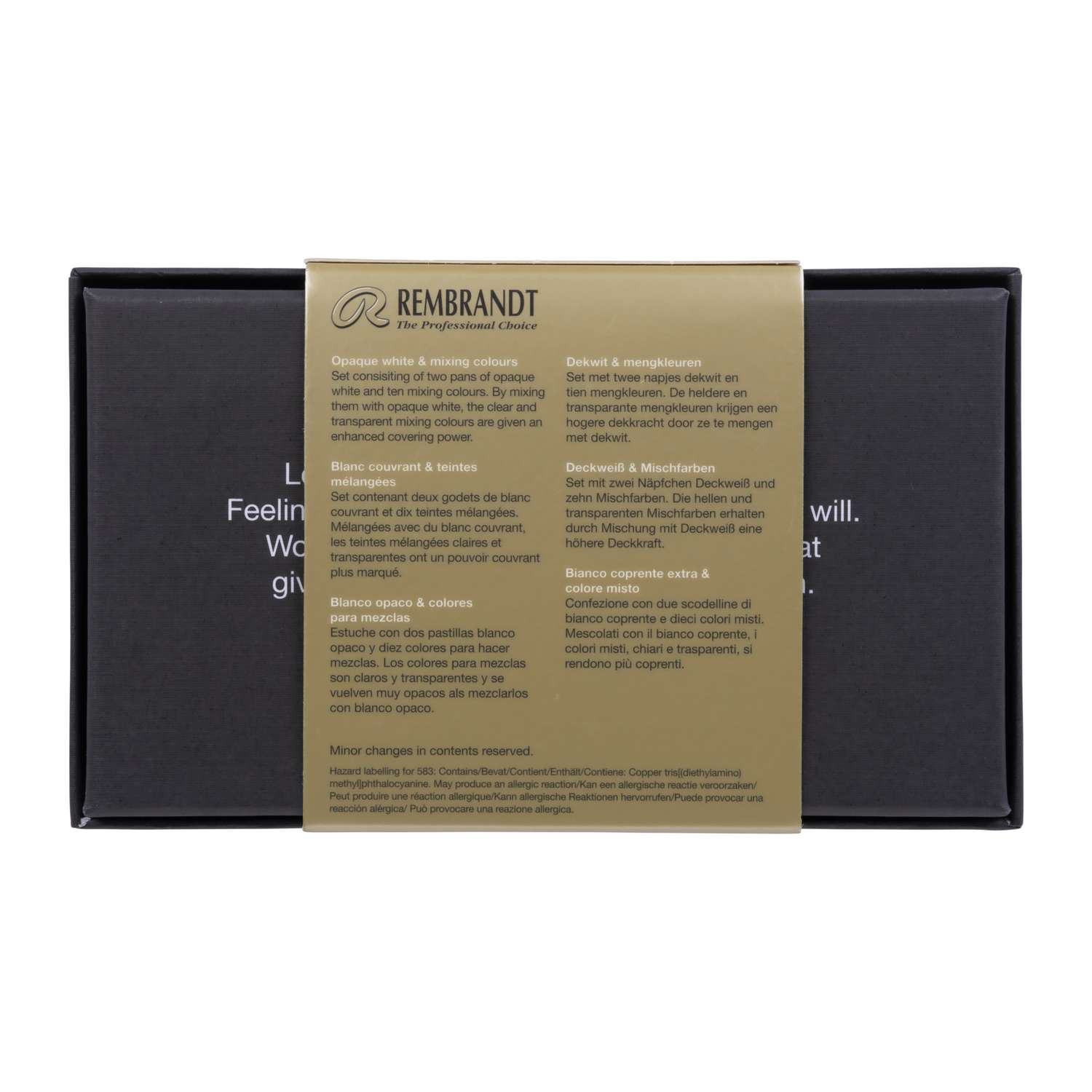 Rembrandt Acrilico Bianco – Pittura Acrilica Moderna A Base Di Resina, Effetto Brillante Satinato, Per Uso Su Varie Superfici