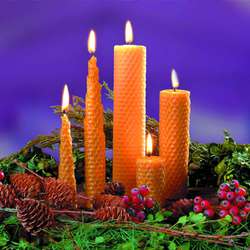 Glorex - Cera d'api in pastiglia