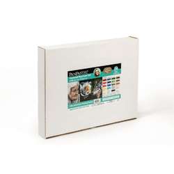 PanPastel - Rebecca Kirsty, Set realismo