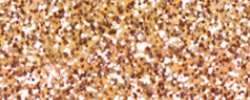 Marabu - Glitter Pen, Penna glitter per tessuto, Liner 25 ml, Oro rosso glitter