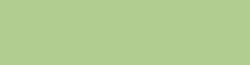 Copic Ink - Ricarica d'inchiostro, 12 ml, Meadow Green Nr G03