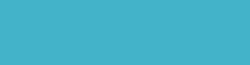 Copic Ink - Ricarica d'inchiostro, 12 ml, Fluorescnet Dull Blue Green Nr FBG2