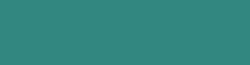 Copic Ink - Ricarica d'inchiostro, 12 ml, Abyss Green Nr BG75