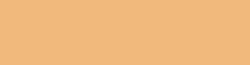Copic Ink - Ricarica d'inchiostro, 12 ml, Tea Orange Nr E95