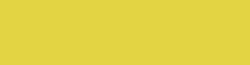 Copic Ink - Ricarica d'inchiostro, 12 ml, Acacia Nr Y04