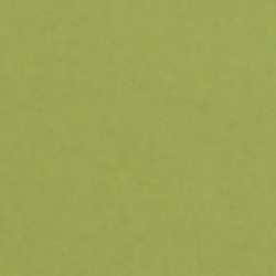 Lana - Colours, Carta colorata 160g/m², 50 x 65 cm, 1 foglio, Verde