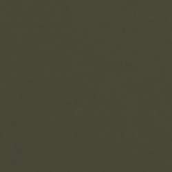 Lana - Colours, Carta colorata 160g/m², 50 x 65 cm, 1 foglio, Edera