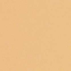 Lana - Colours, Carta colorata 160g/m², 50 x 65 cm, 1 foglio, Ostrica