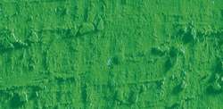 Caran D'Ache - Neopastel, Pastelli a olio sfusi, 68 mm x 10 mm, Verde erba