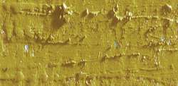 Caran D'Ache - Neopastel, Pastelli a olio sfusi, 68 mm x 10 mm, Oliva scuro
