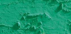 Caran D'Ache - Neopastel, Pastelli a olio sfusi, 68 mm x 10 mm, Verde veronese