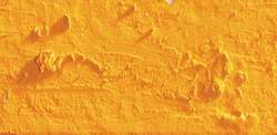 Caran D'Ache - Neopastel, Pastelli a olio sfusi, 68 mm x 10 mm, Arancio autentico