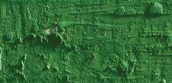 Caran D'Ache - Neopastel, Pastelli a olio sfusi, 68 mm x 10 mm, Verde muschio