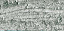 Caran D'Ache - Neopastel, Pastelli a olio sfusi, 68 mm x 10 mm, Argento