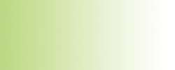 Createx - Colore iridescente per aerografo, 60 ml, Verde iridescente