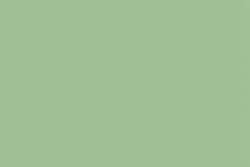 Unison - Pastelli soft sfusi, Green 4