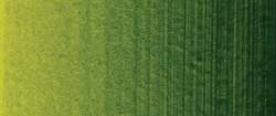 Verde vescica permanente