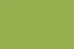 Unison - Pastelli soft sfusi, Yellow green earth 5