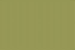 Unison - Pastelli soft sfusi, Yellow green earth 2