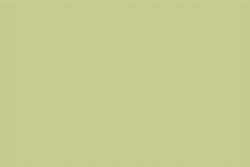 Unison - Pastelli soft sfusi, Yellow green earth 4