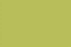 Unison - Pastelli soft sfusi, Yellow green earth 8