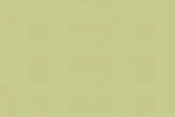 Unison - Pastelli soft sfusi, Yellow green earth14