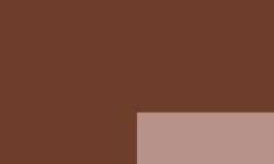 Terra di Siena bruciata