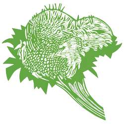 Verde giallo